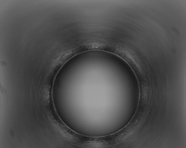 X0000091000545200708021602