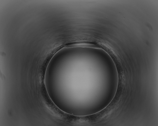 X0000091000546200708021602