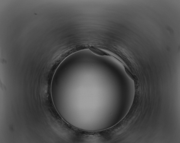 X0000091000548200708021602