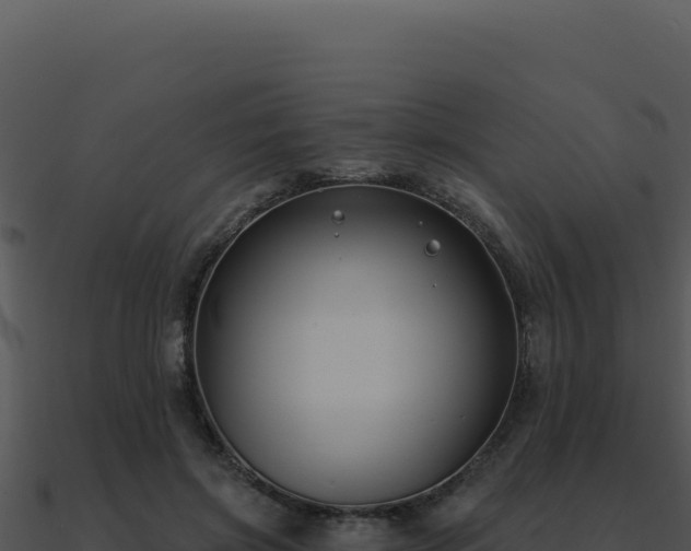 X0000091000549200708021602