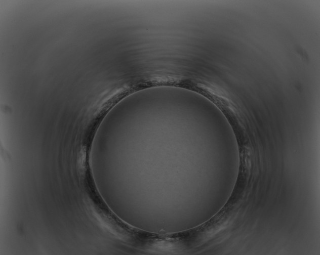X0000091000550200708021603