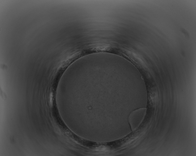 X0000091000551200708021603