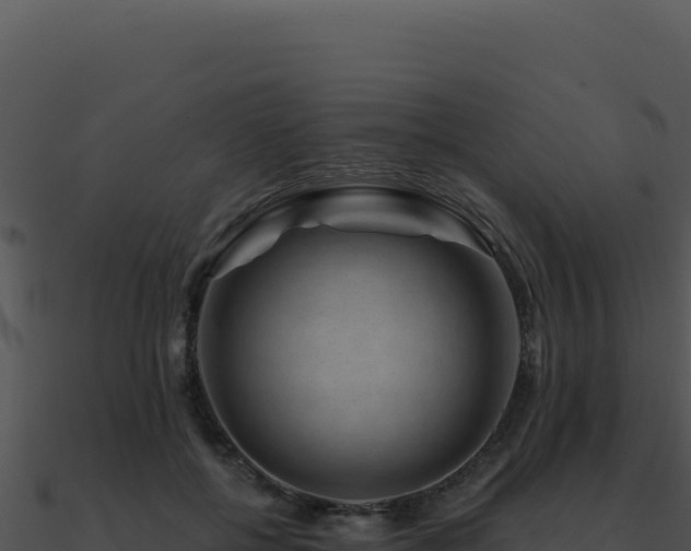 X0000091000552200708021603