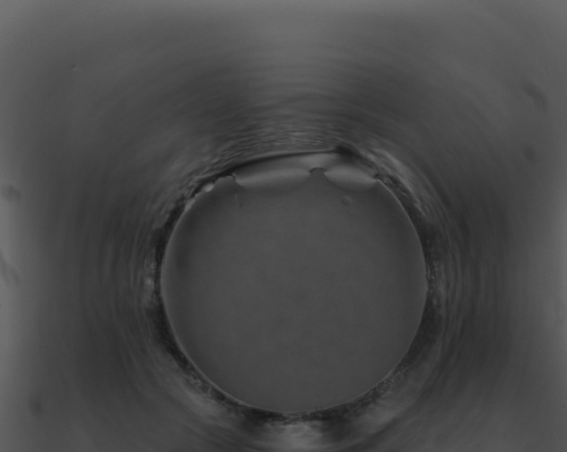 X0000091000553200708021603