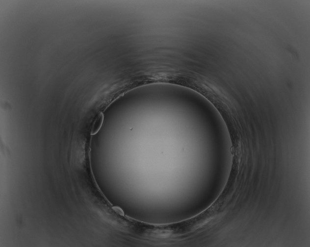 X0000091000554200708021603