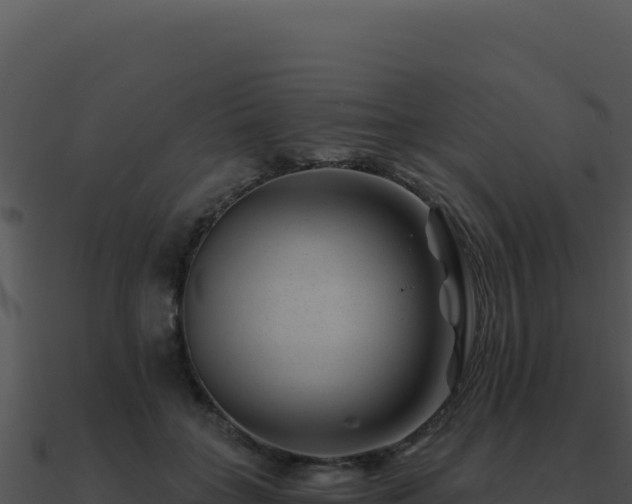 X0000091000555200708021603