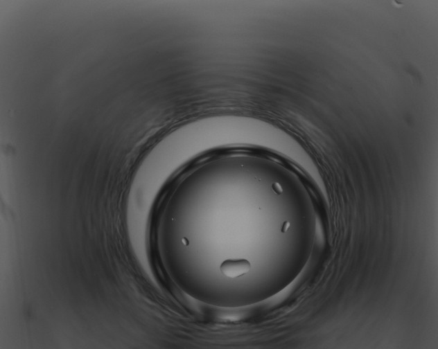 X0000091000556200708021603
