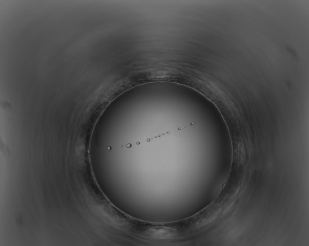 X0000091000557200708021603