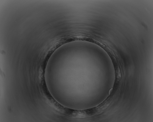 X0000091000559200708021603