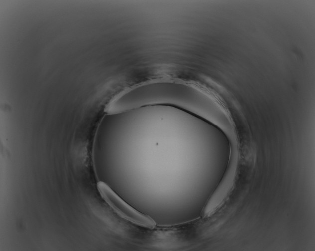 X0000091000560200708021603