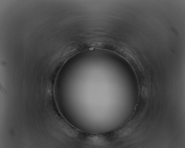 X0000091000561200708021603