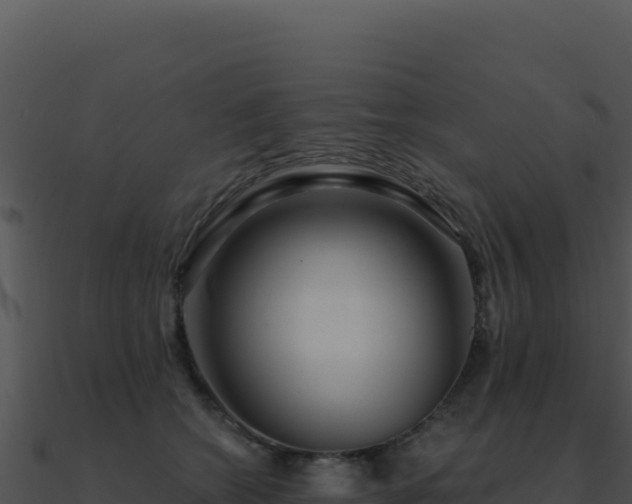 X0000091000562200708021603