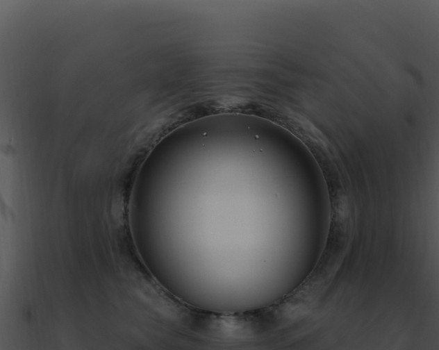 X0000091000565200708021603