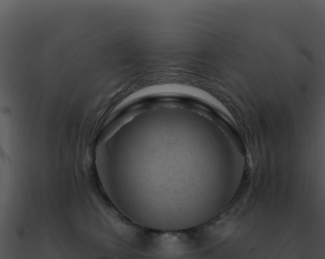 X0000091000566200708021603