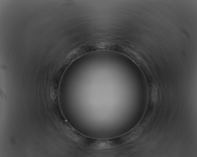 X0000091000569200708021603