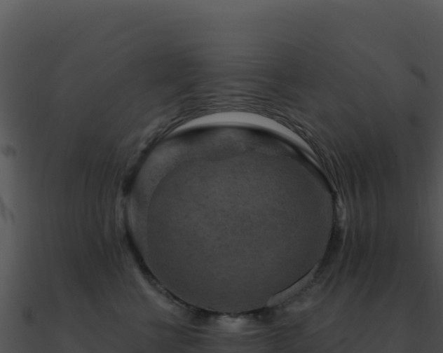 X0000091000570200708021603