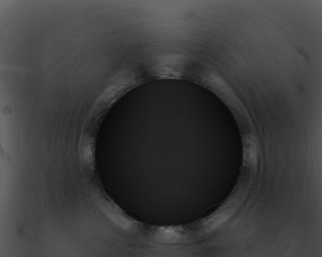 X0000091000573200708021603