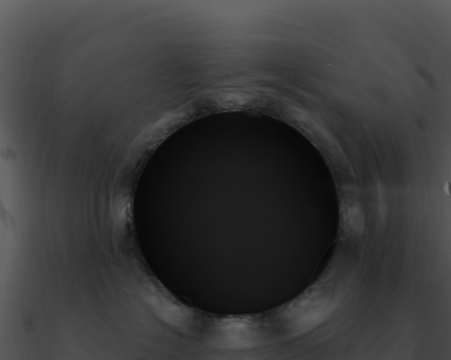 X0000091000574200708021603