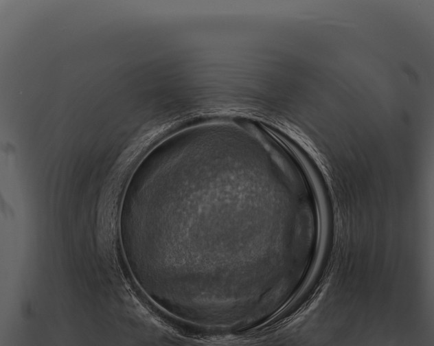X0000091000577200708021602
