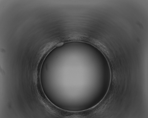 X0000091000578200708021602