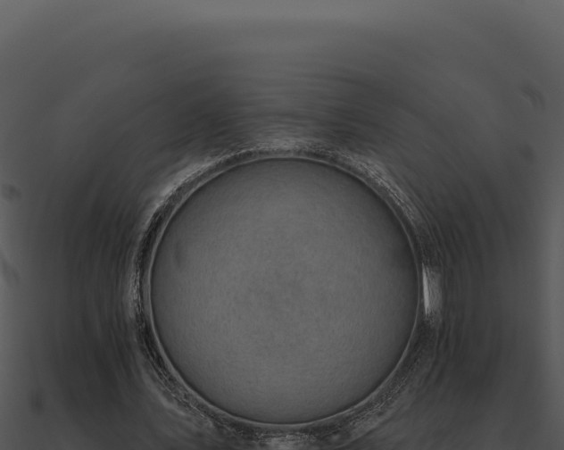 X0000091000579200708021602