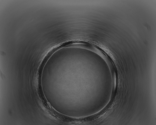 X0000091000580200708021602