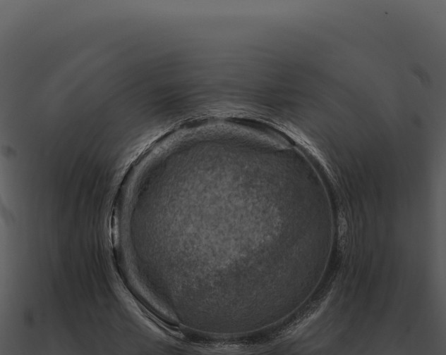 X0000091000581200708021602