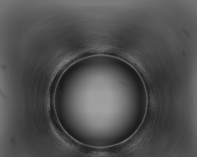 X0000091000582200708021602