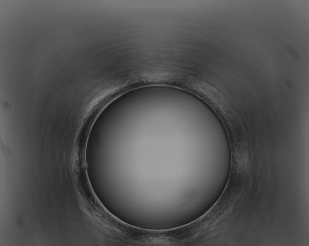X0000091000583200708021602