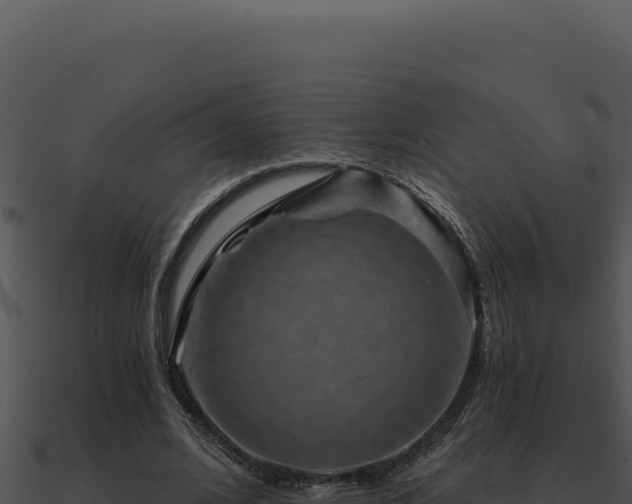 X0000091000584200708021602