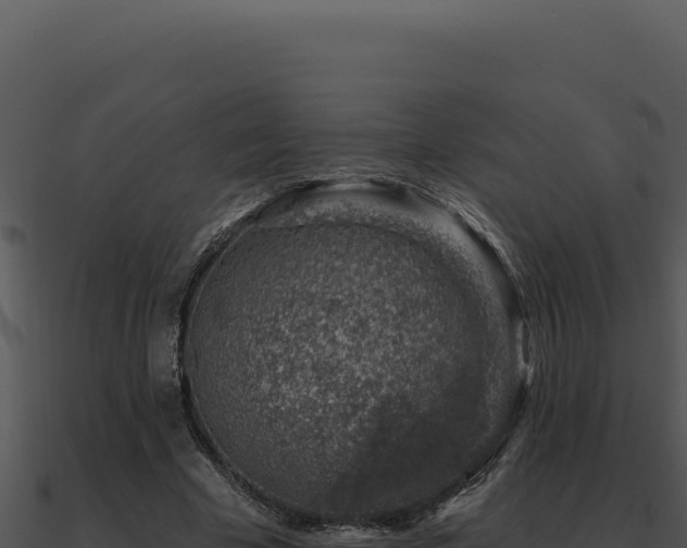X0000091000585200708021602