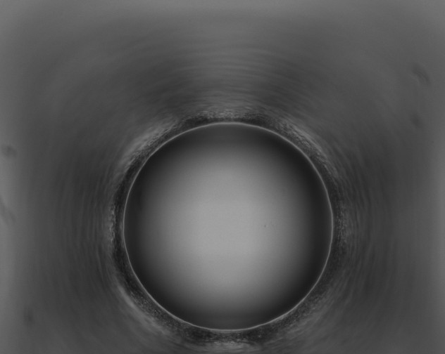 X0000091000586200708021602