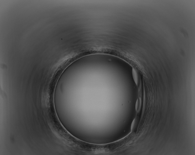 X0000091000587200708021602