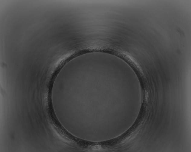 X0000091000588200708021602