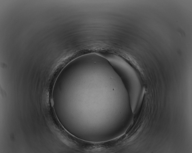 X0000091000589200708021602