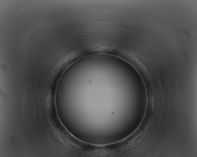 X0000091000591200708021602