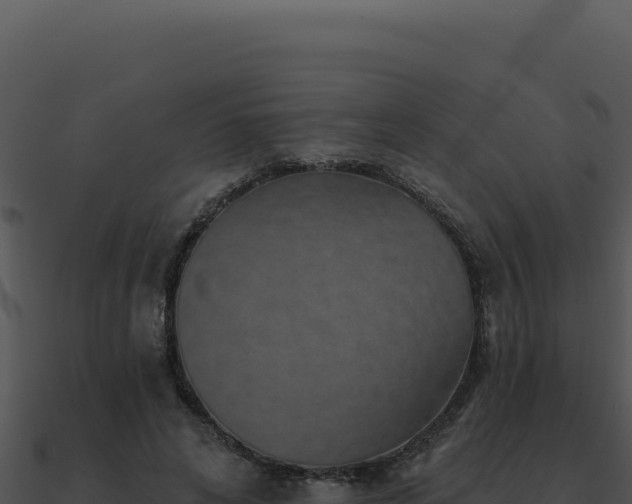 X0000091000592200708021602