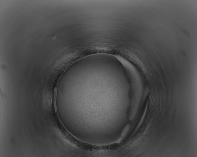 X0000091000593200708021602