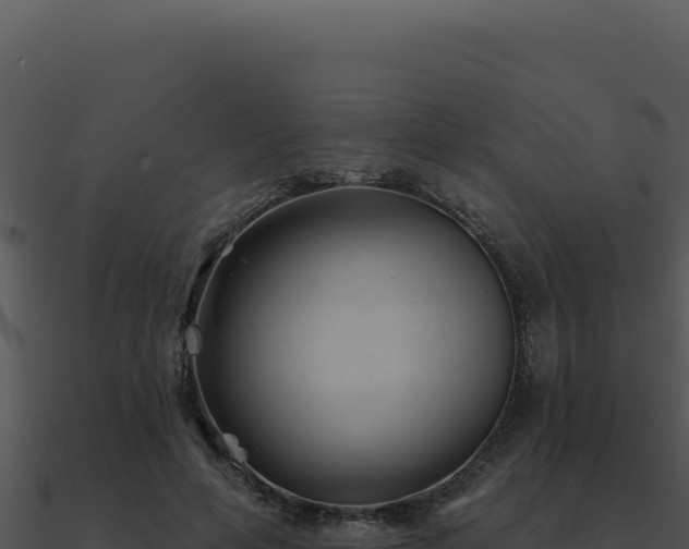X0000091000594200708021602