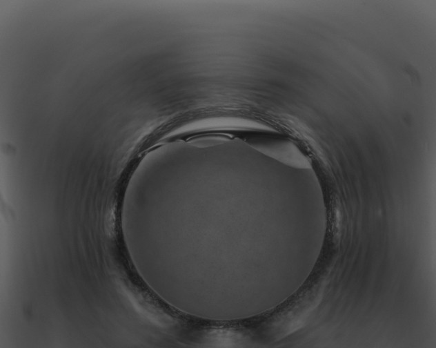 X0000091000596200708021602