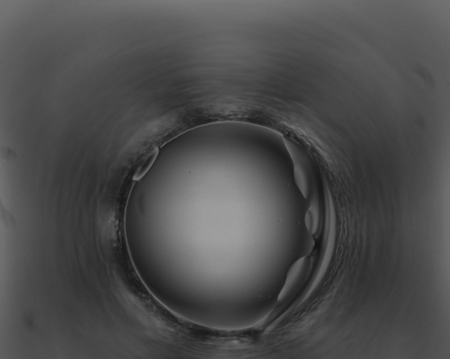 X0000091000597200708021602