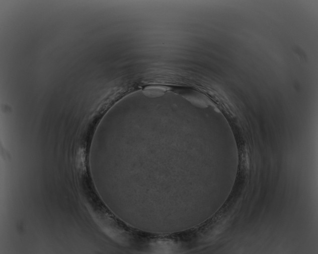 X0000091000598200708021602
