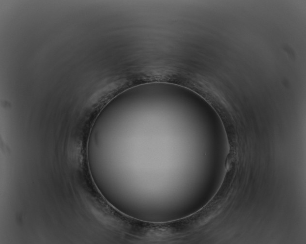 X0000091000599200708021602