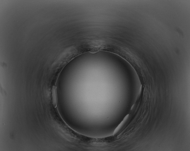 X0000091000601200708021602