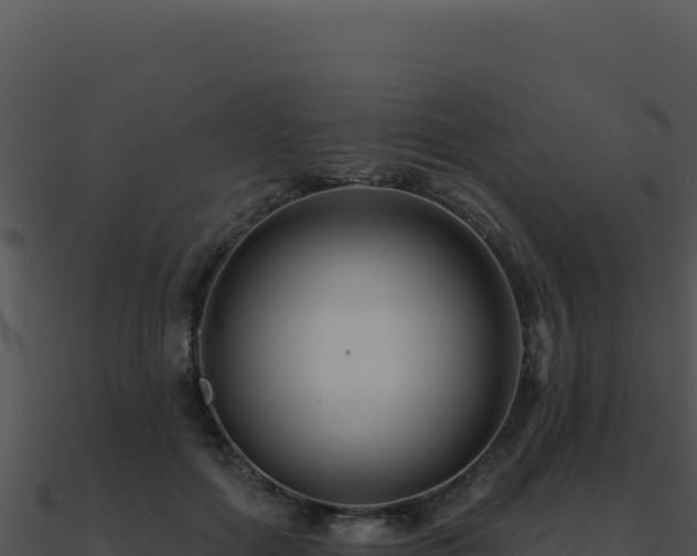 X0000091000602200708021602