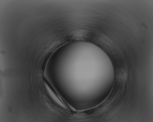 X0000091000603200708021602
