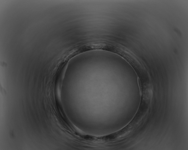 X0000091000604200708021602