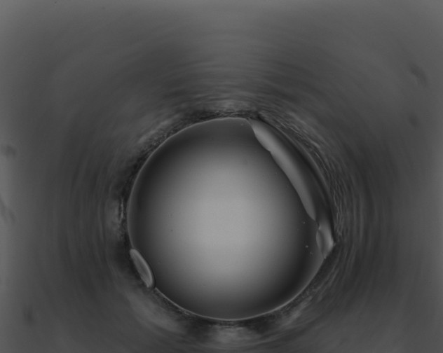 X0000091000605200708021602