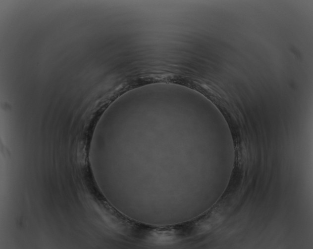 X0000091000606200708021602
