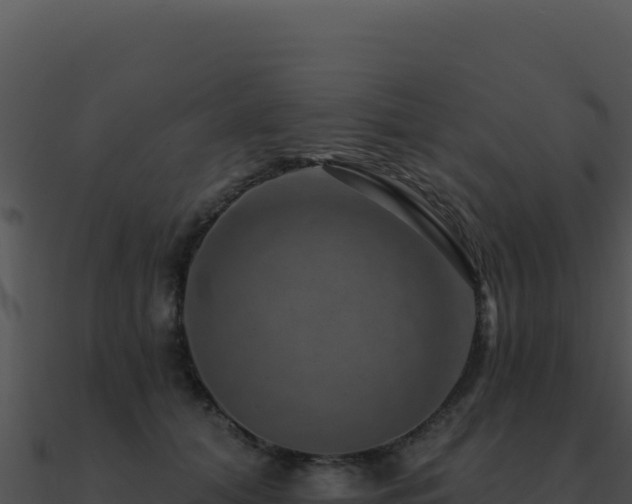 X0000091000608200708021602